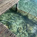 Toa Lodge Bora Bora